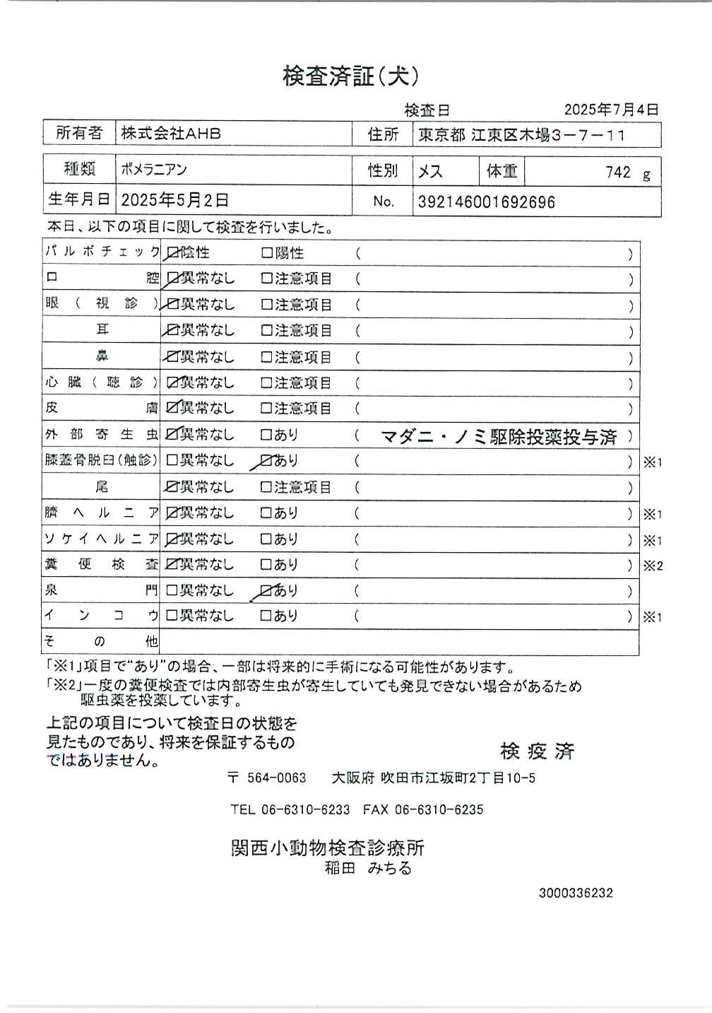 ポメラニアン