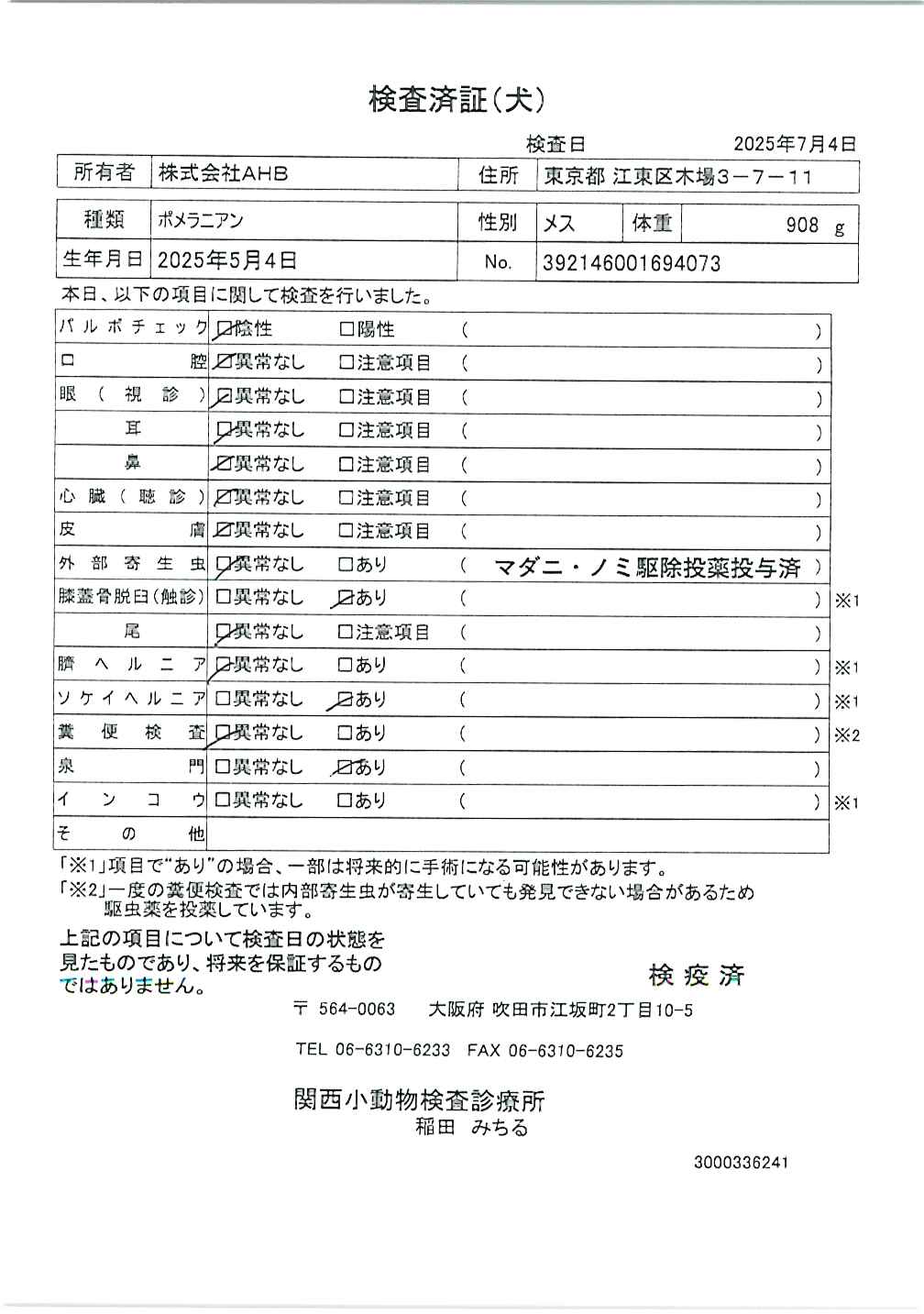 ポメラニアン