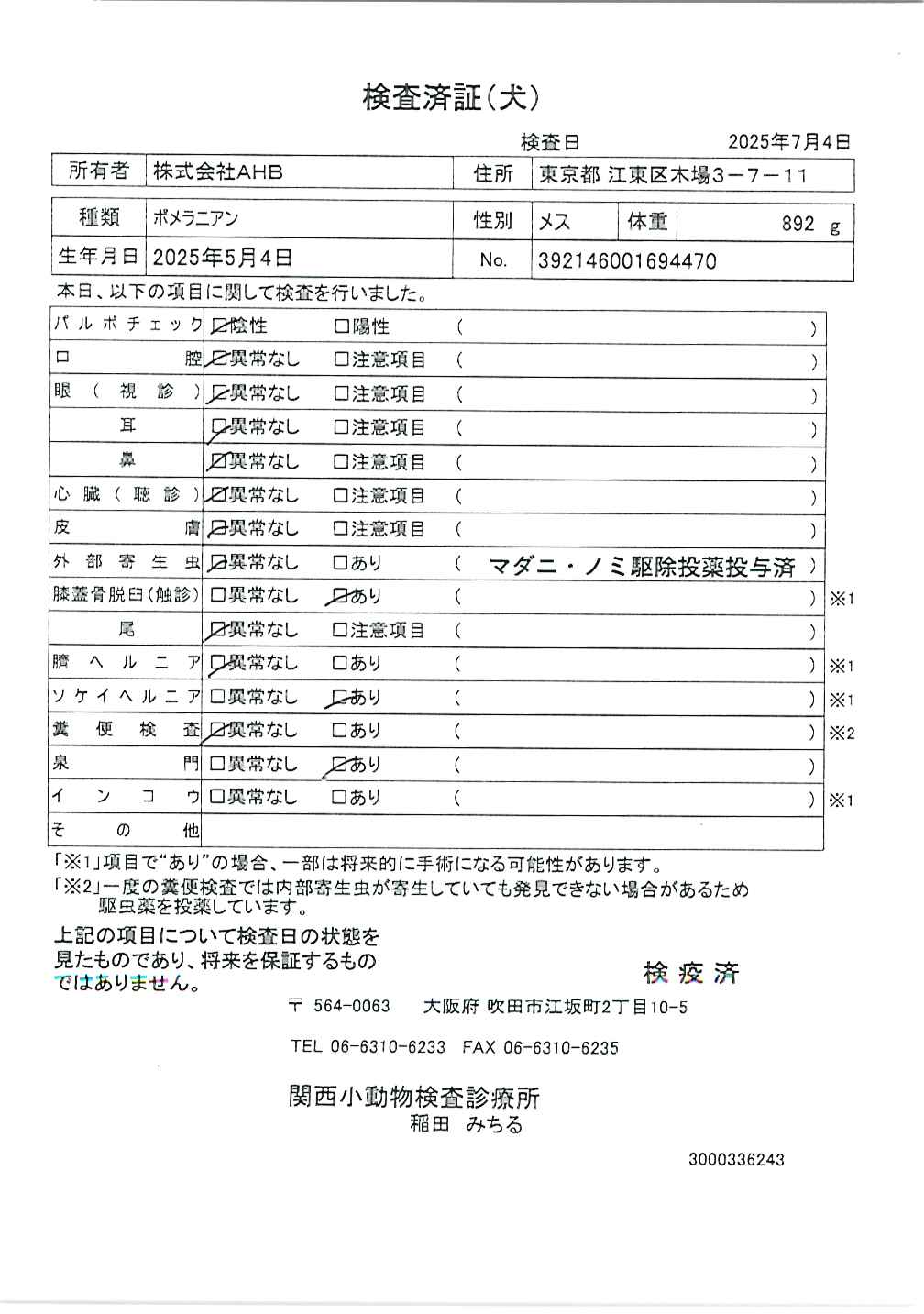 ポメラニアン