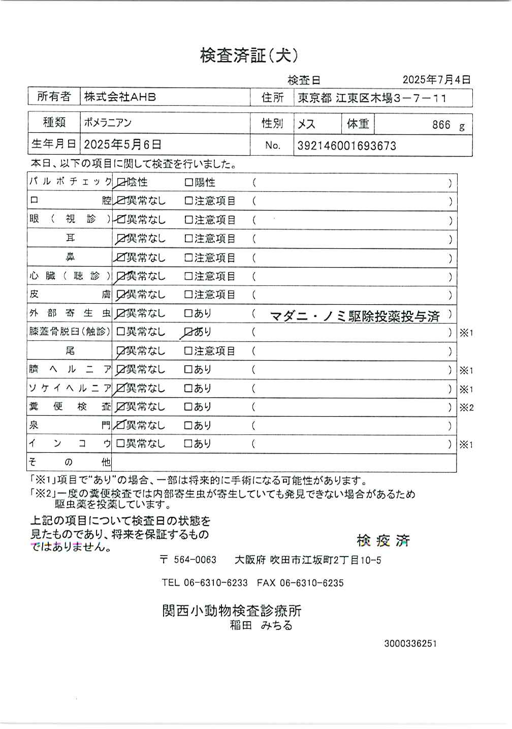 ポメラニアン