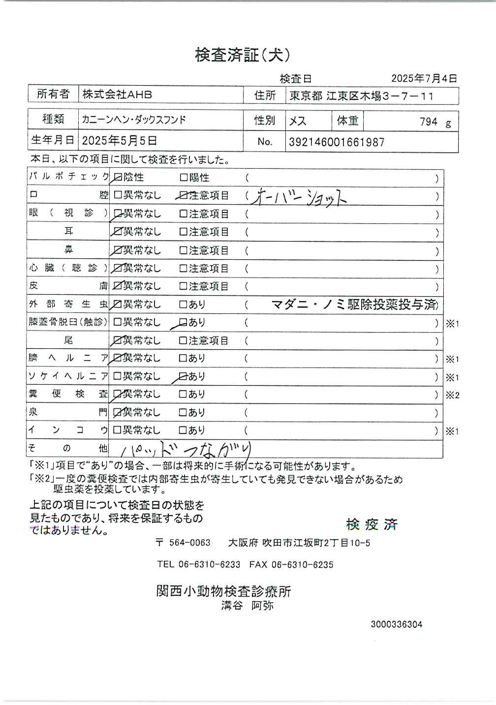 カニーンヘン・ダックスフンド