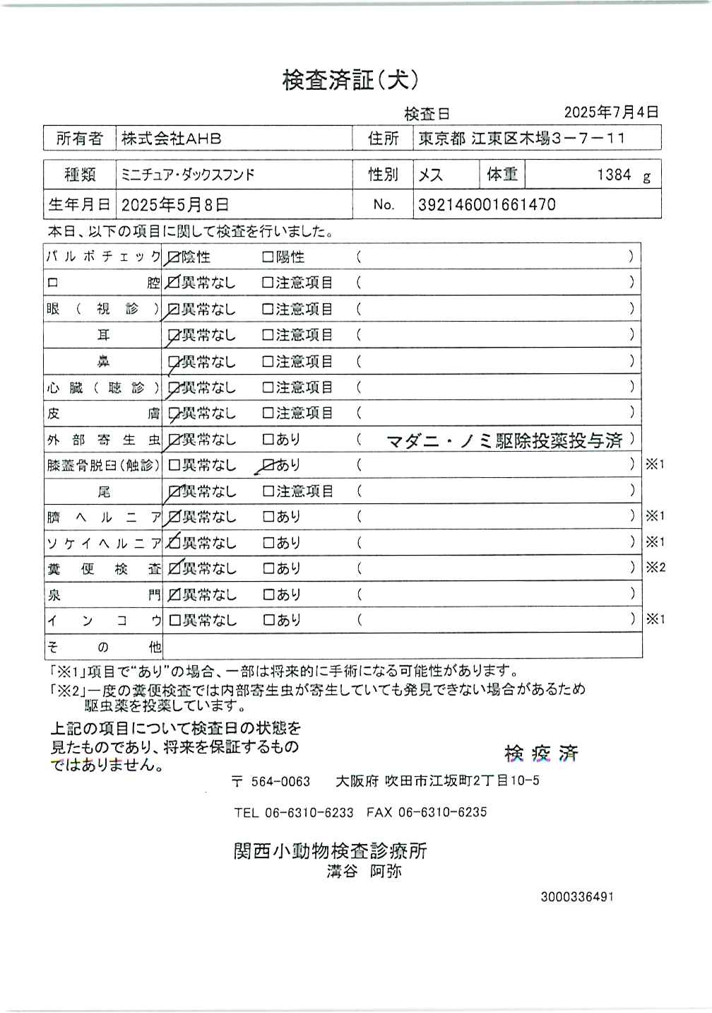 ミニチュア・ダックスフンド
