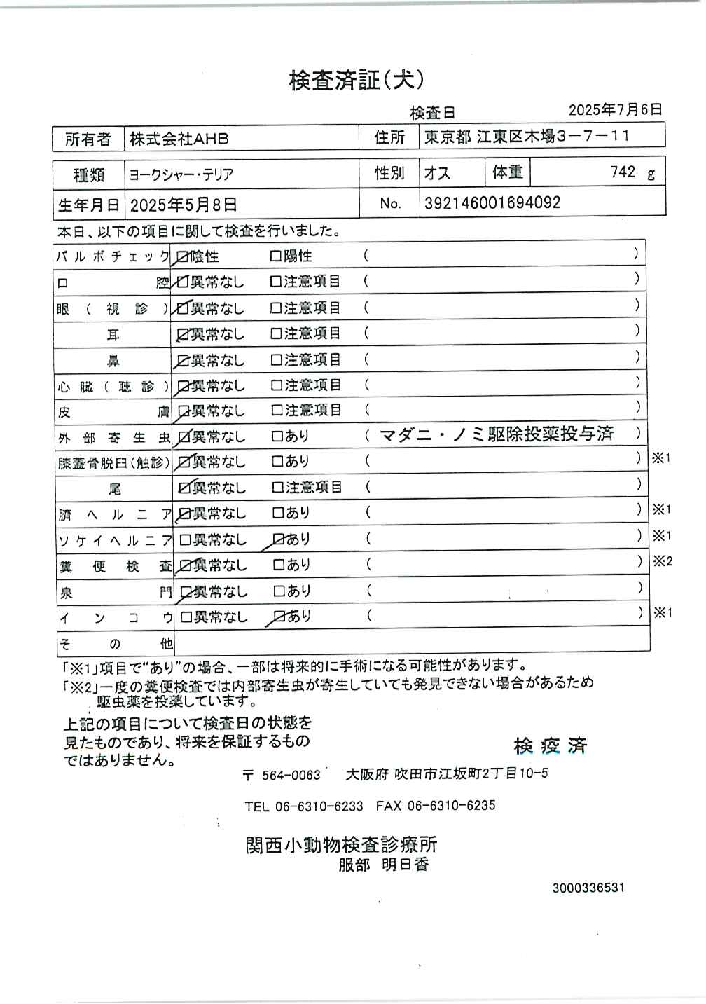 ヨークシャー・テリア