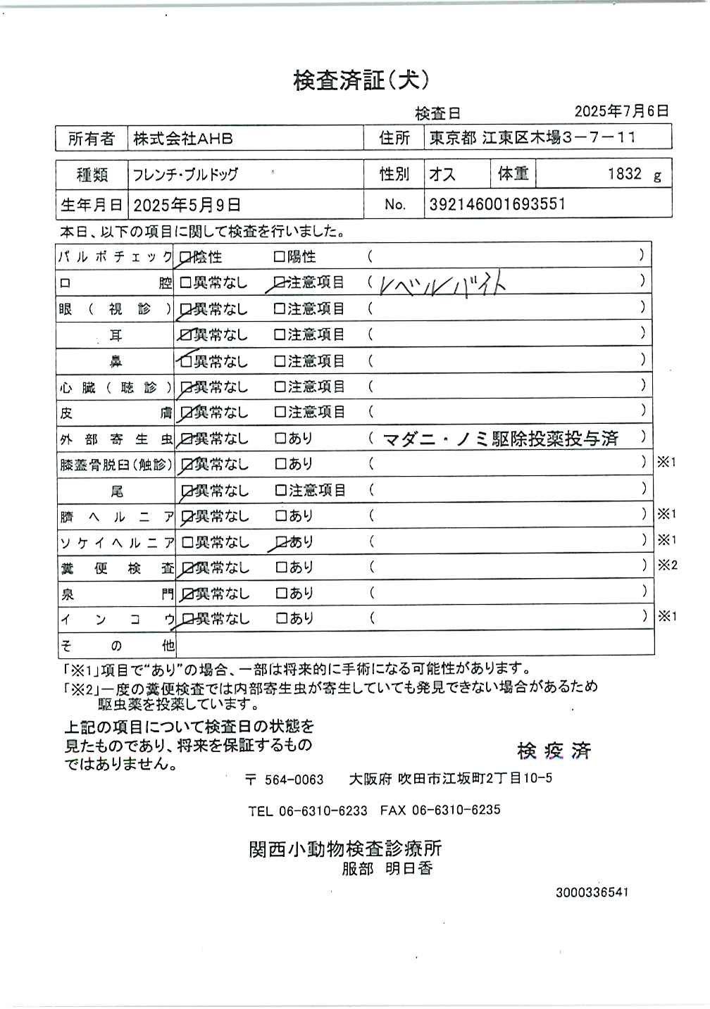 フレンチ・ブルドッグ