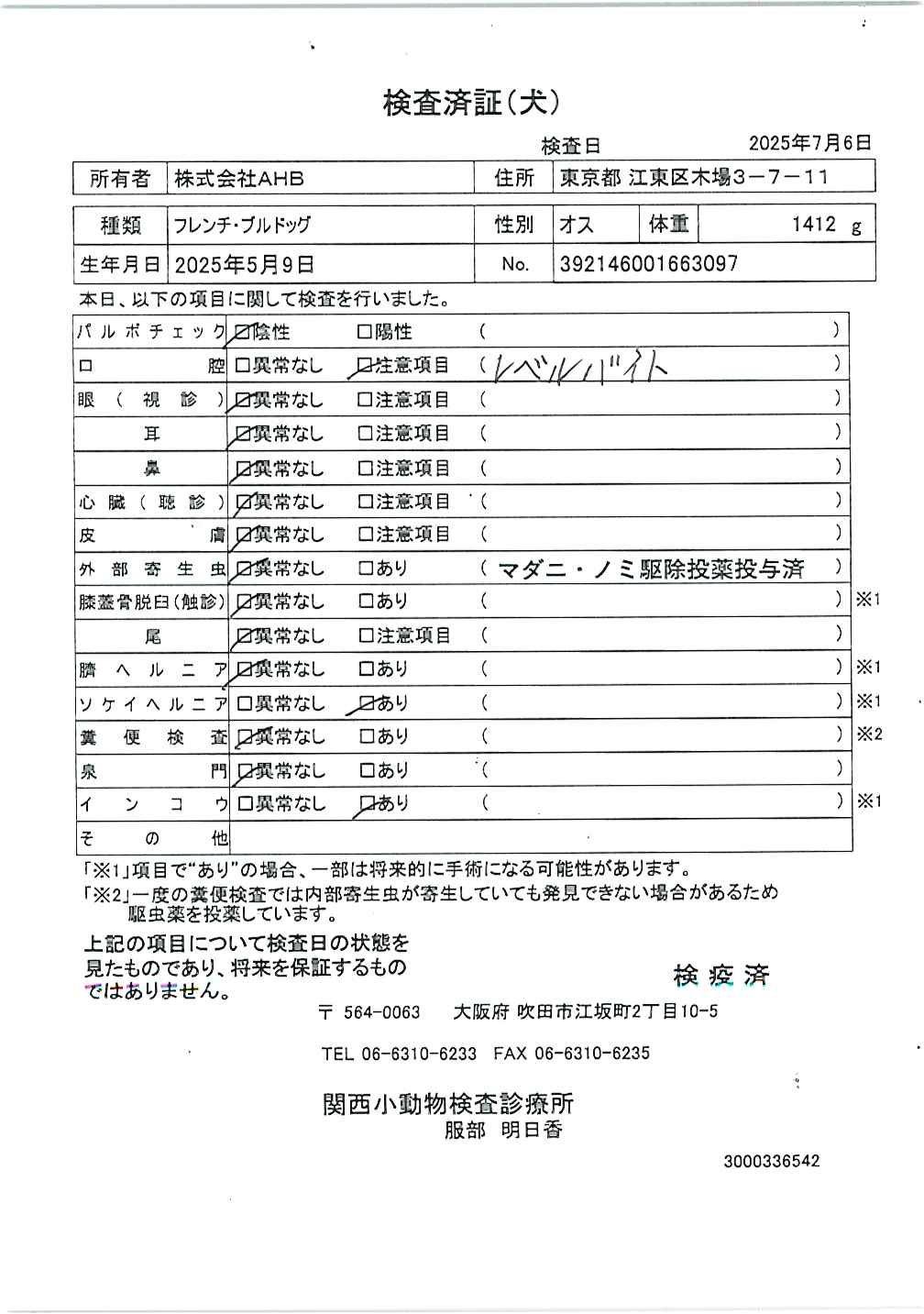 フレンチ・ブルドッグ
