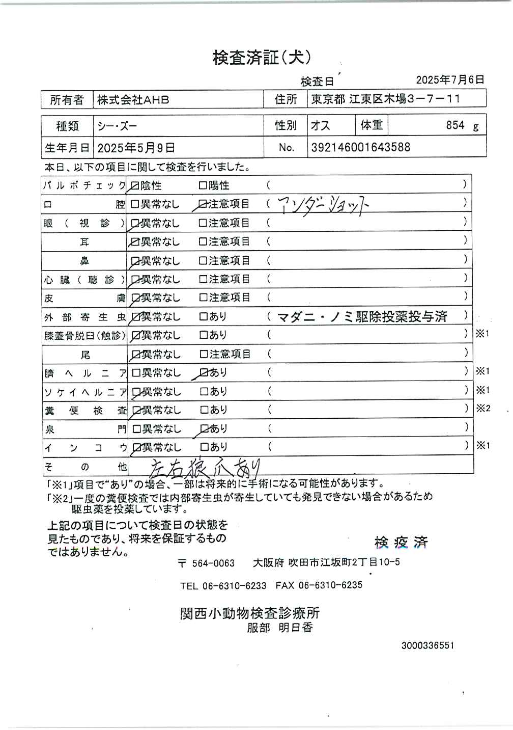 シー・ズー