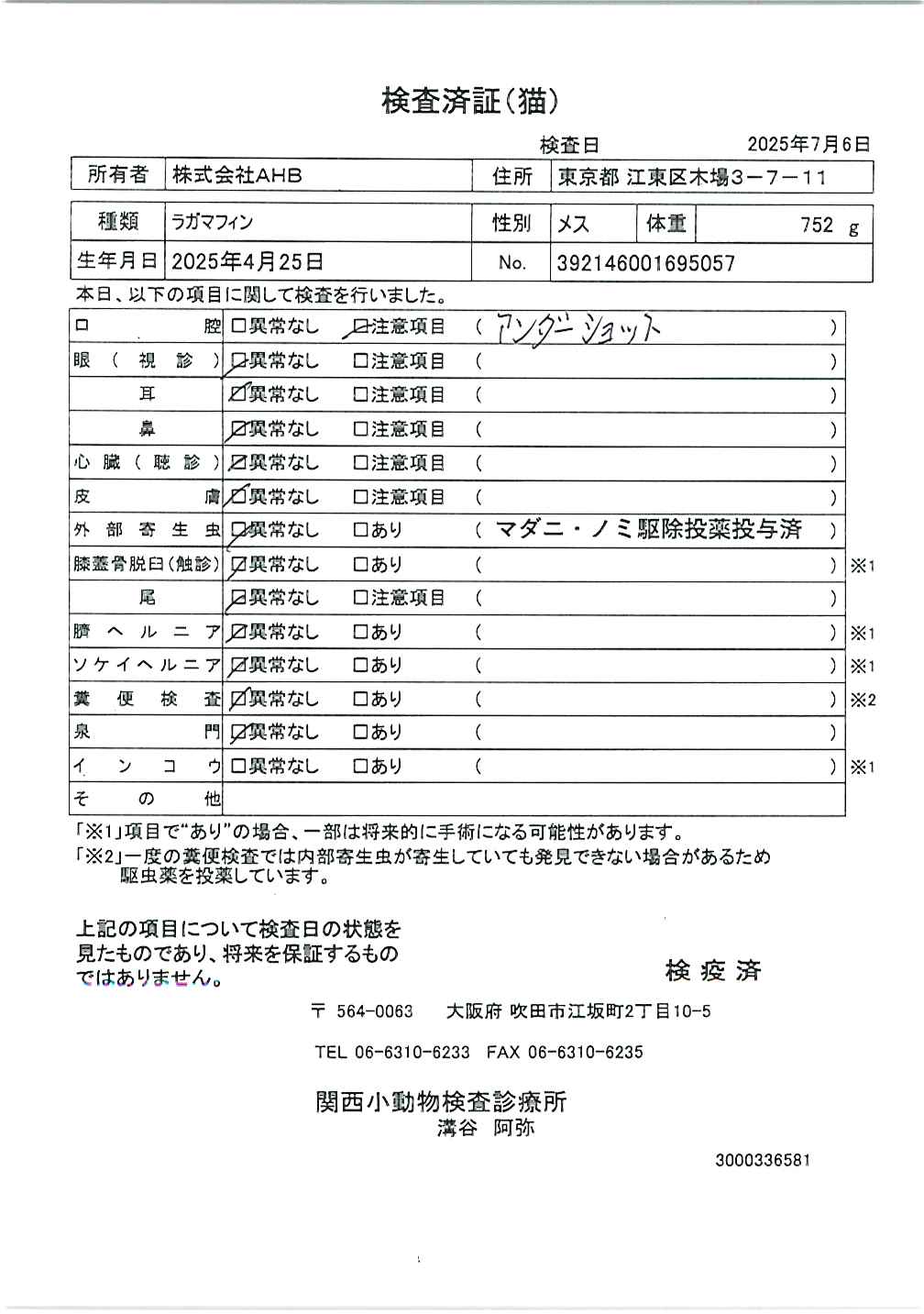 ラガマフィン
