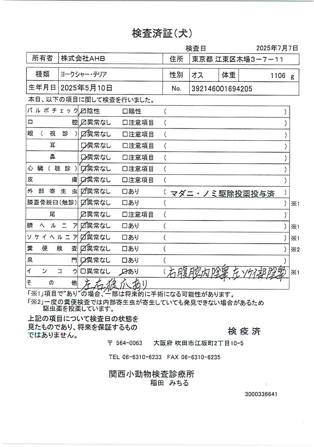 ヨークシャー・テリア