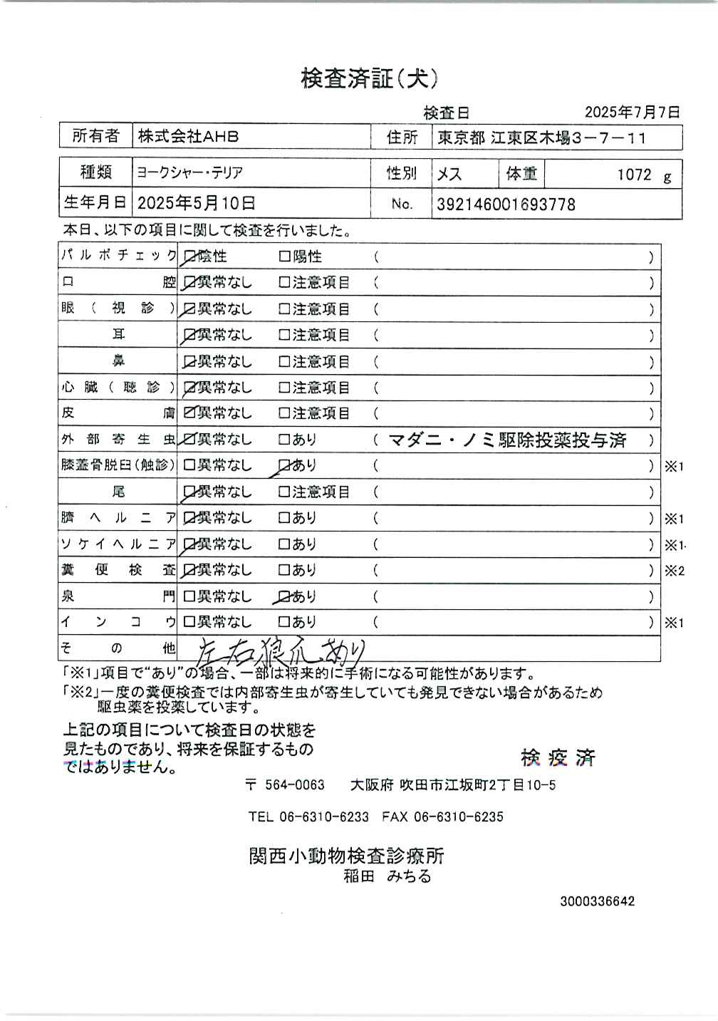 ヨークシャー・テリア