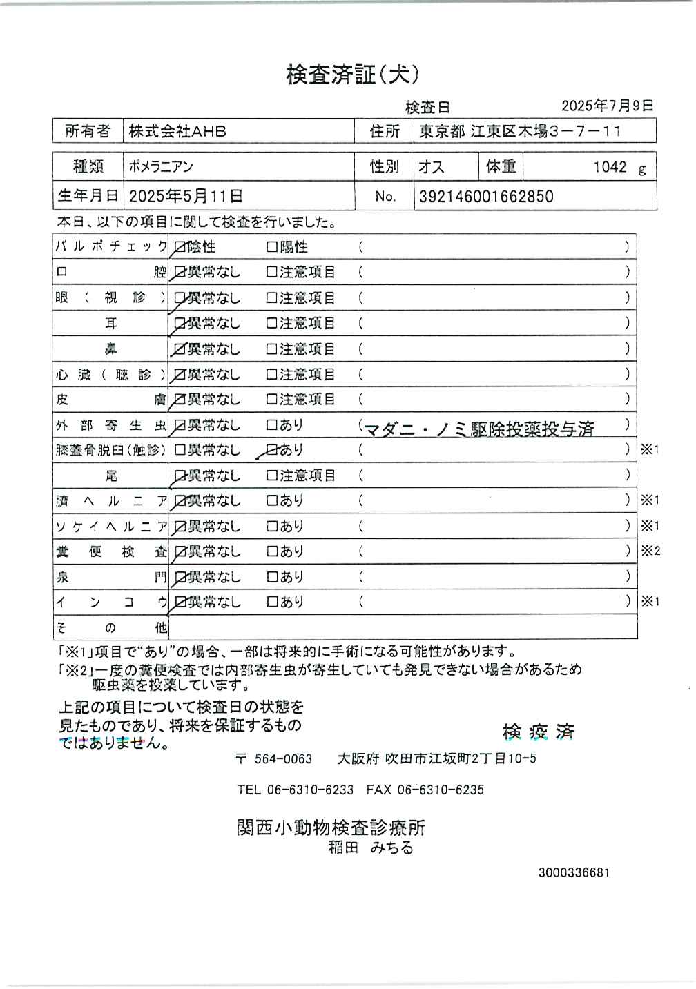 ポメラニアン