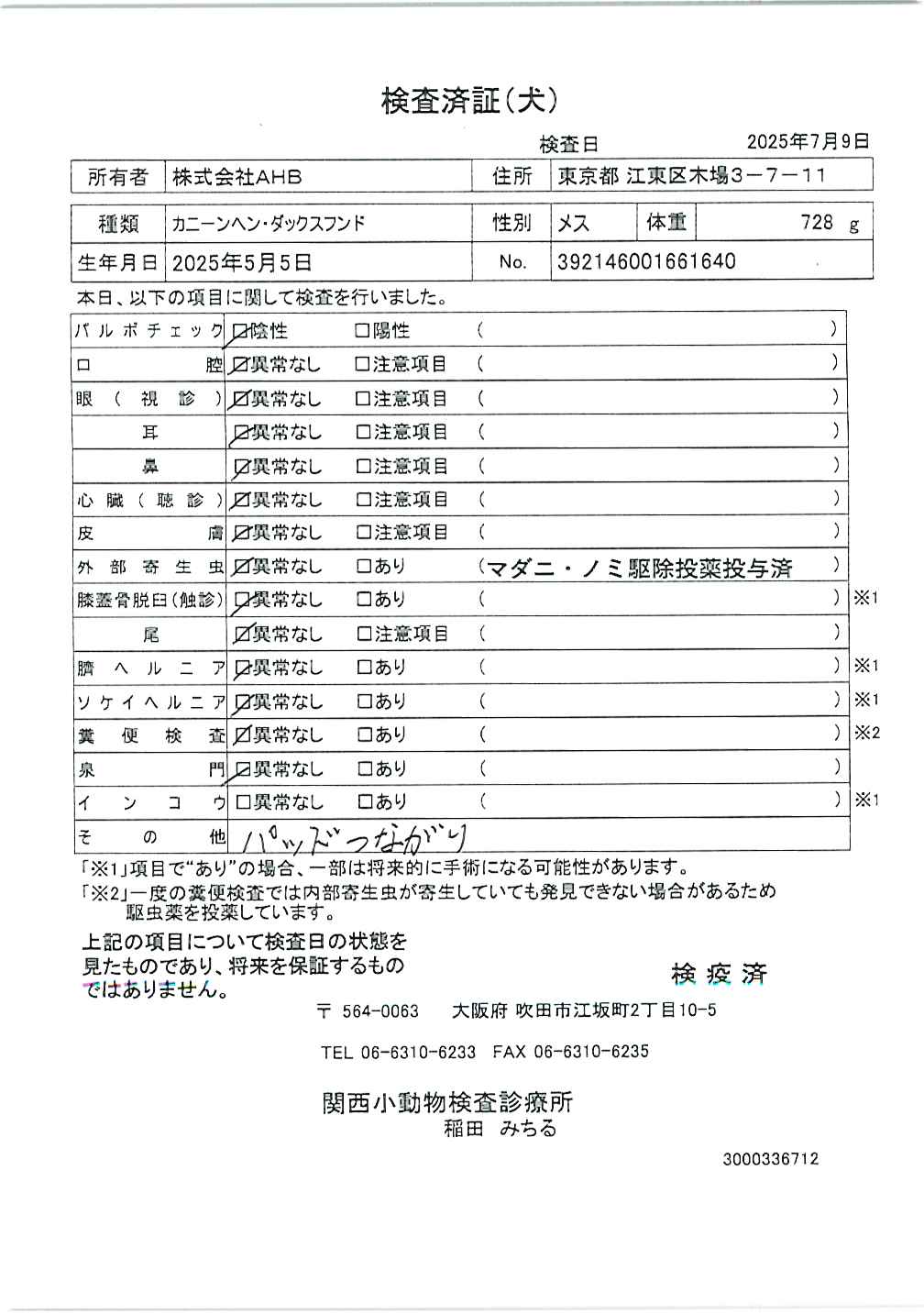 カニーンヘン・ダックスフンド