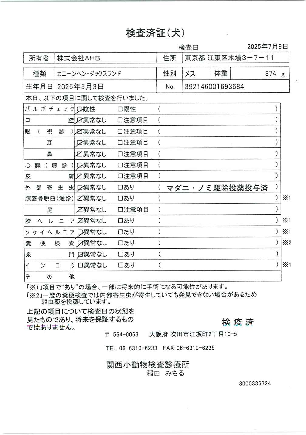 カニーンヘン・ダックスフンド