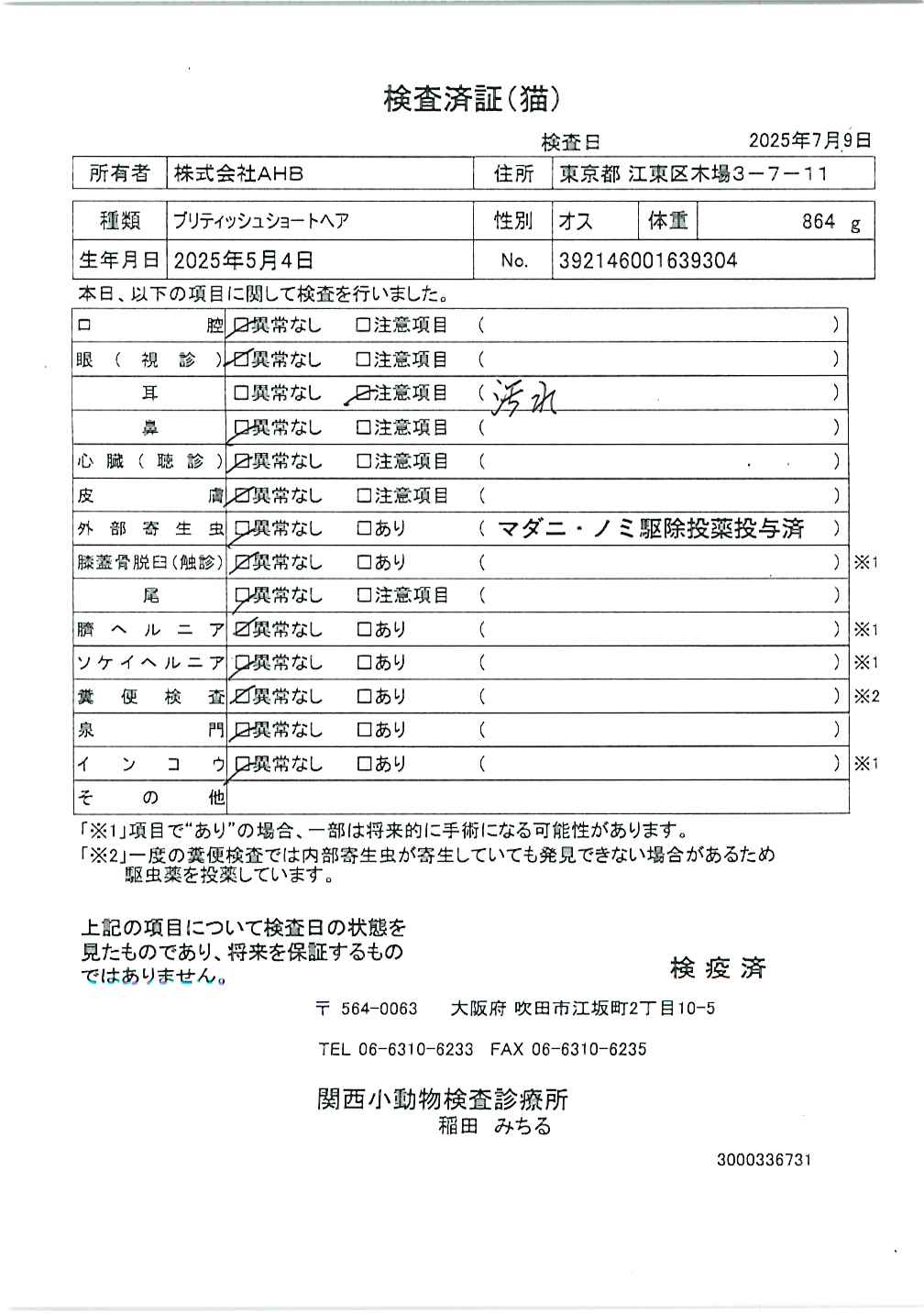ブリティッシュショートヘア