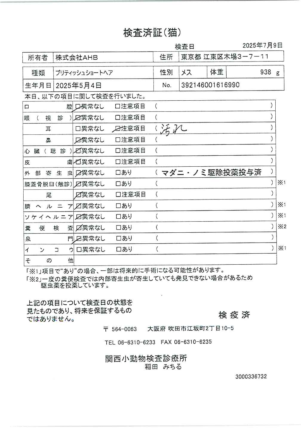 ブリティッシュショートヘア