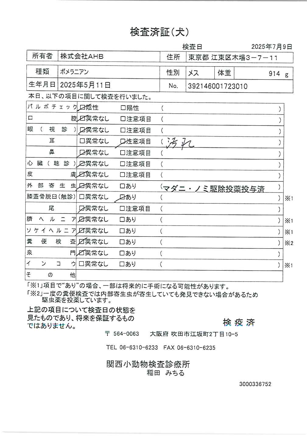 ポメラニアン