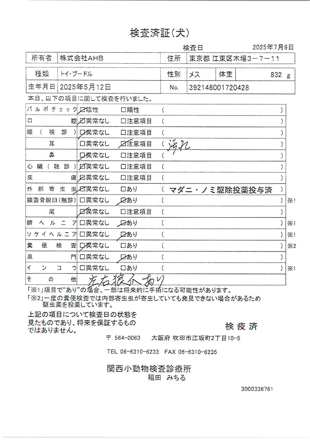トイ・プードル