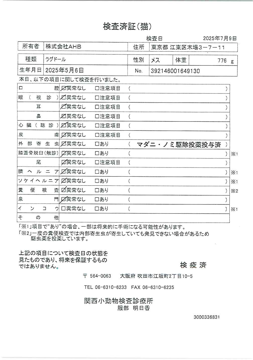 ラグドール