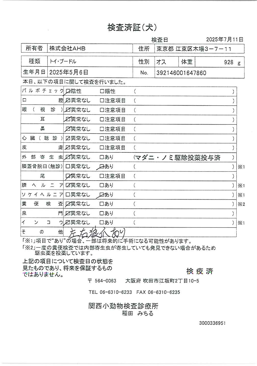 トイ・プードル