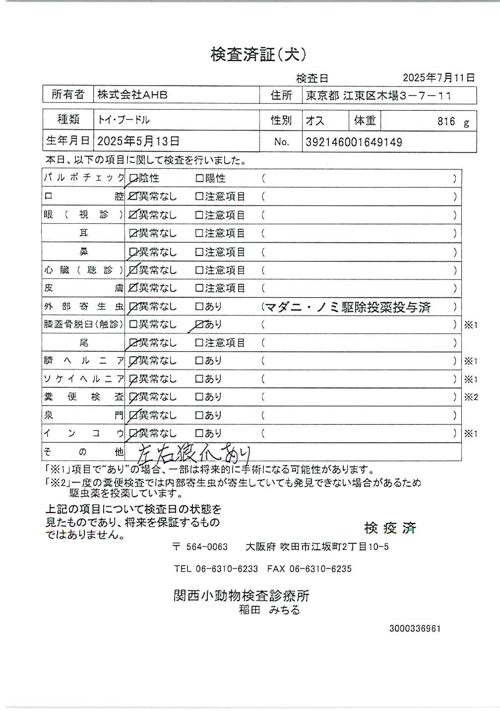 トイ・プードル