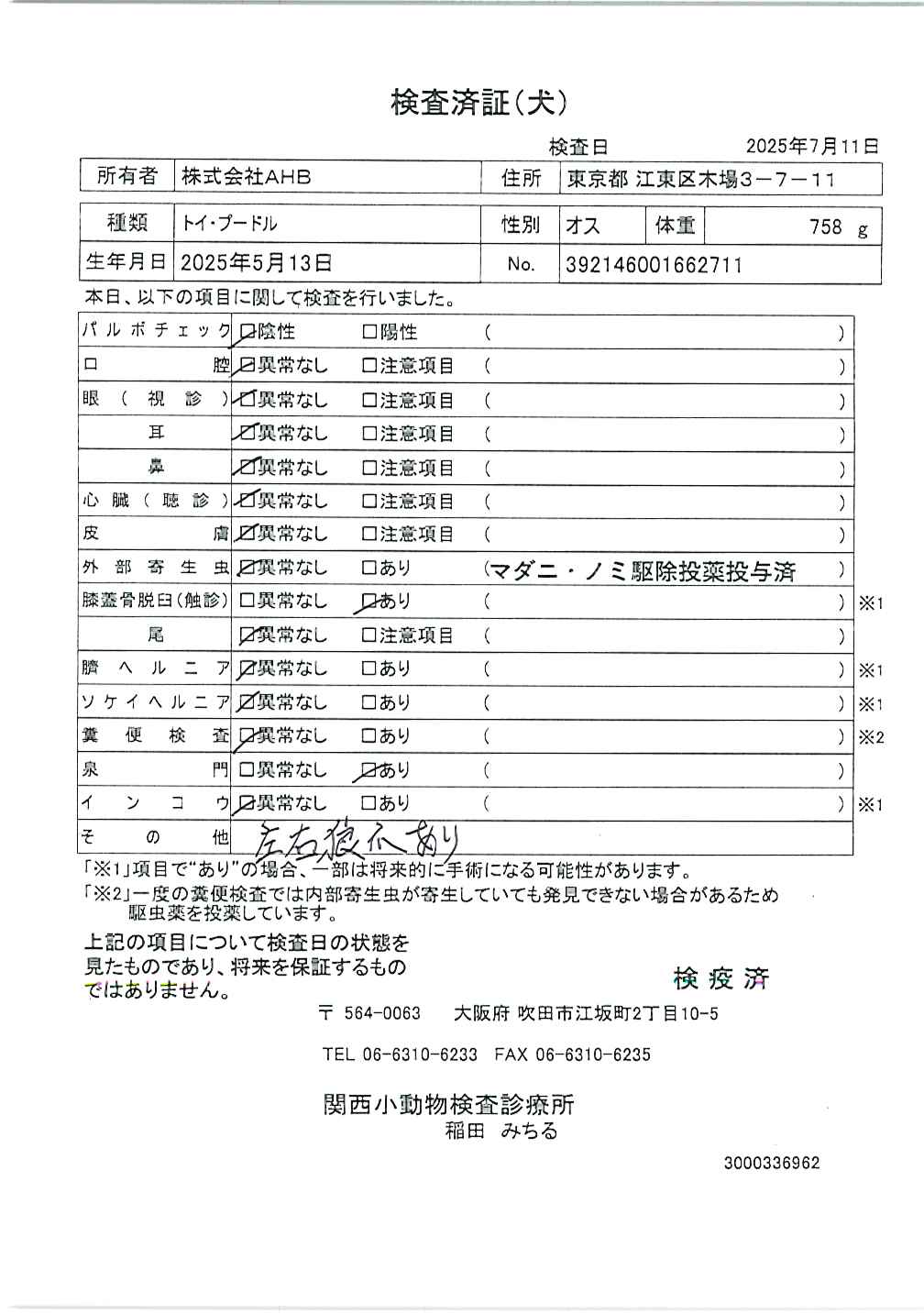トイ・プードル