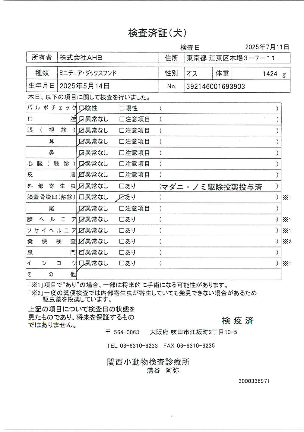 ミニチュア・ダックスフンド