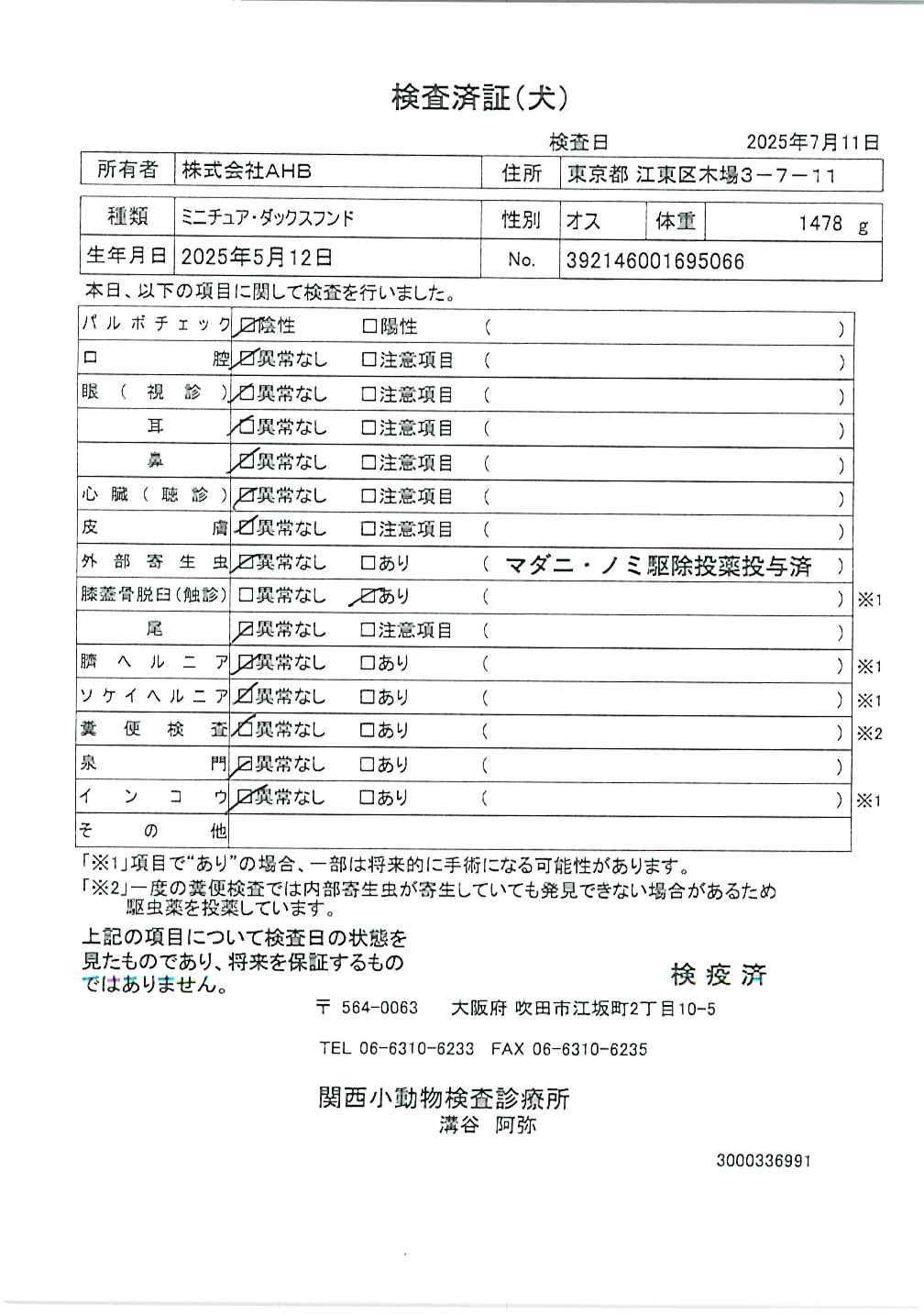ミニチュア・ダックスフンド