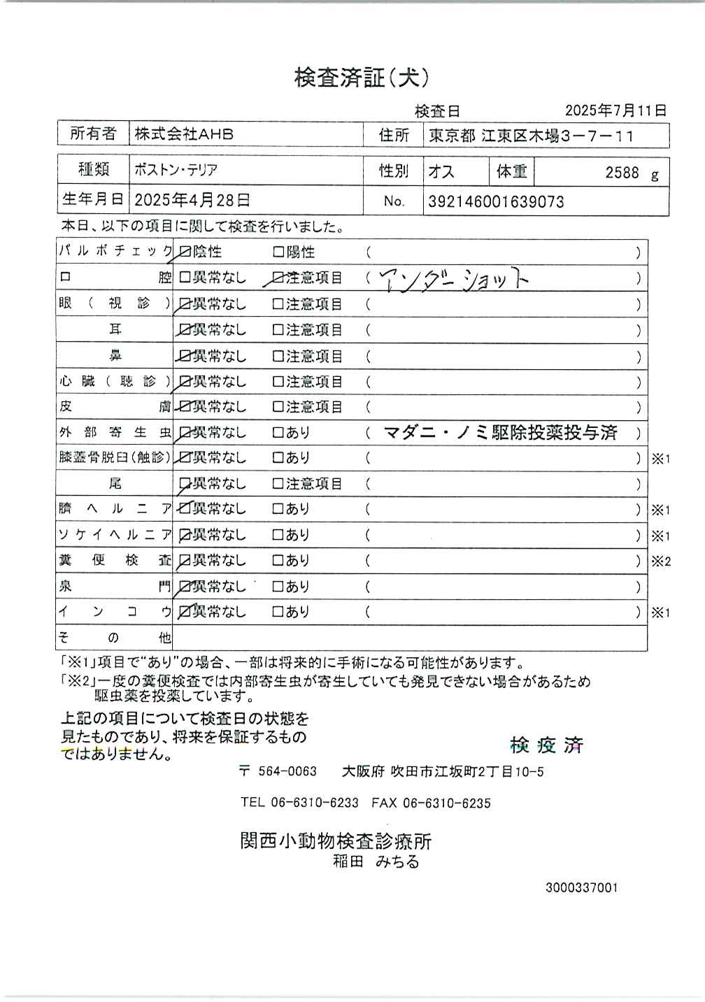 ボストン・テリア