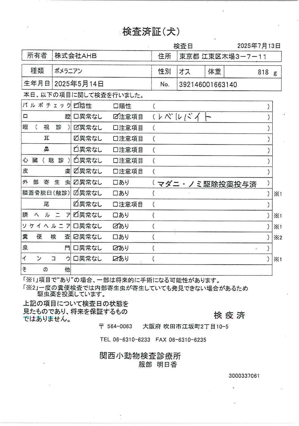 ポメラニアン