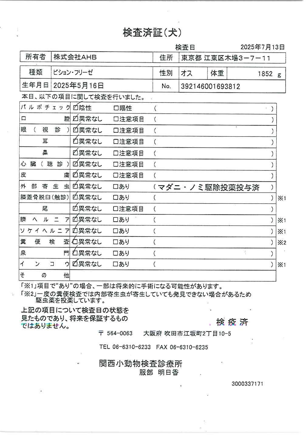 ビション・フリーゼ