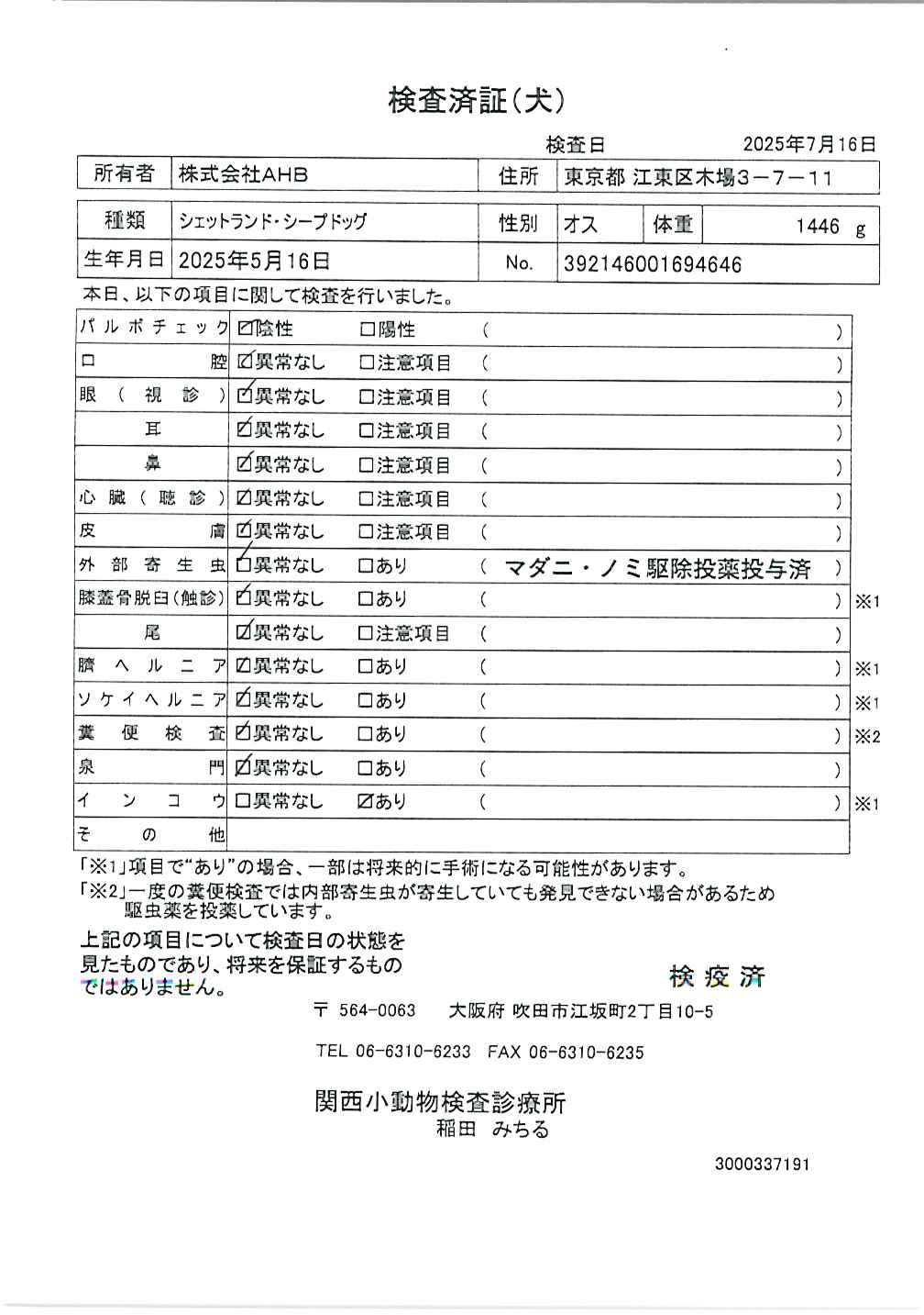 シェットランド・シープドッグ