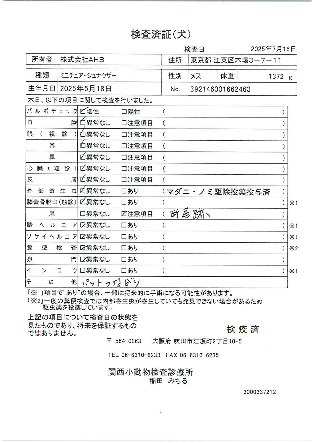 ミニチュア・シュナウザー