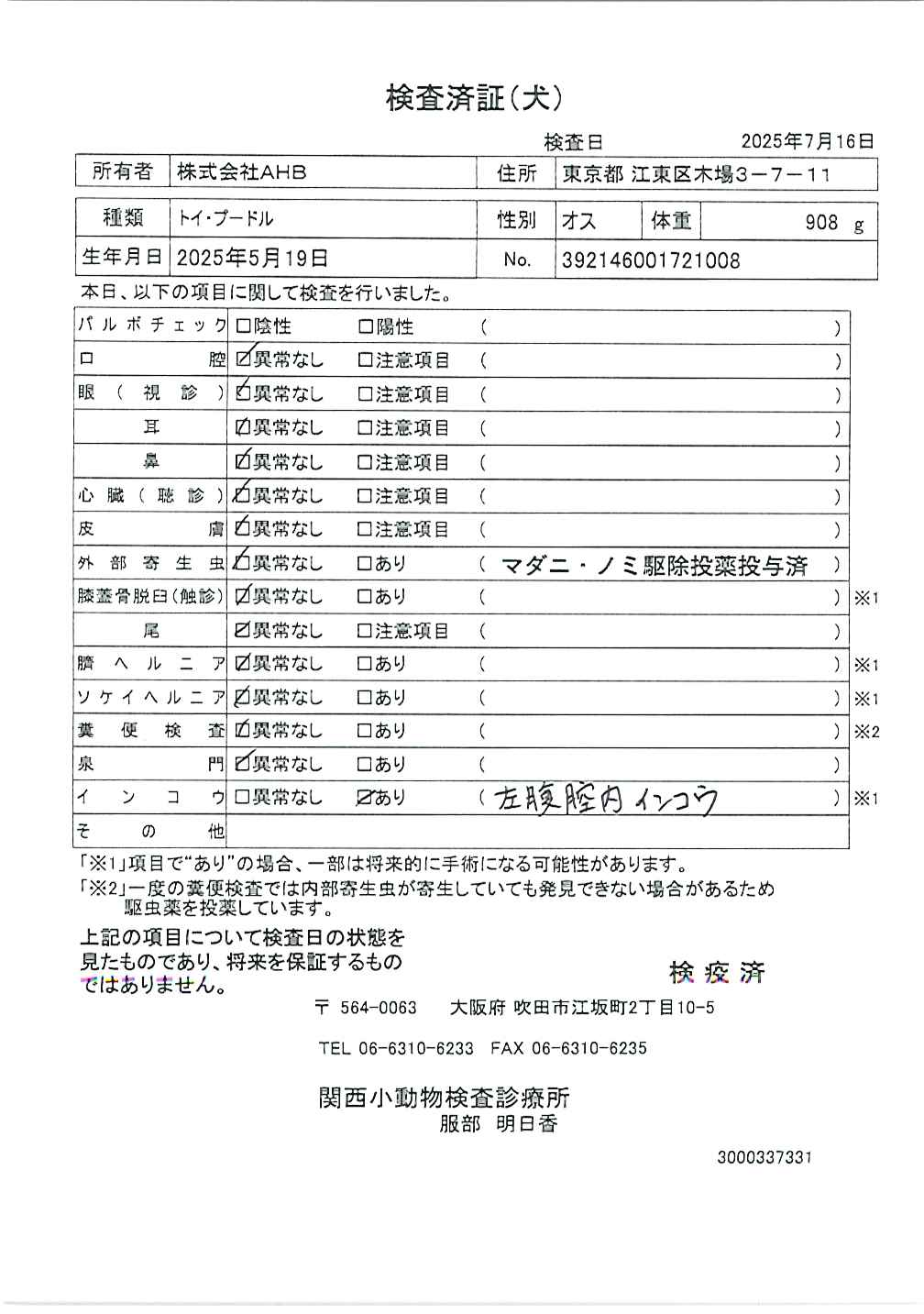 トイ・プードル