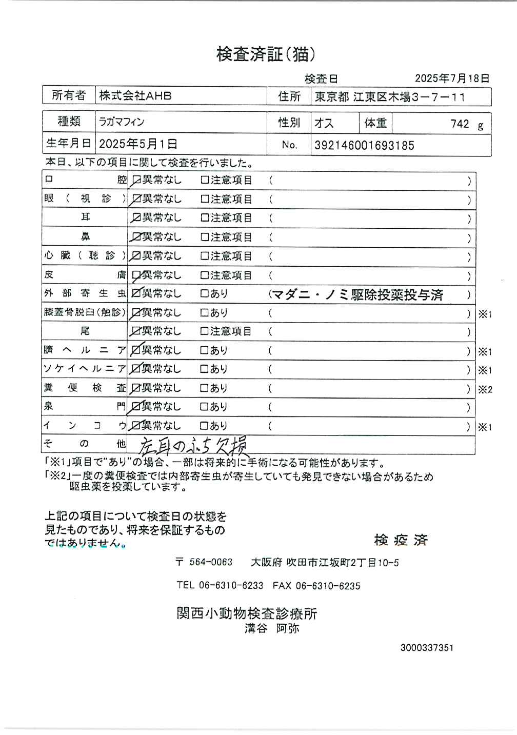 ラガマフィン