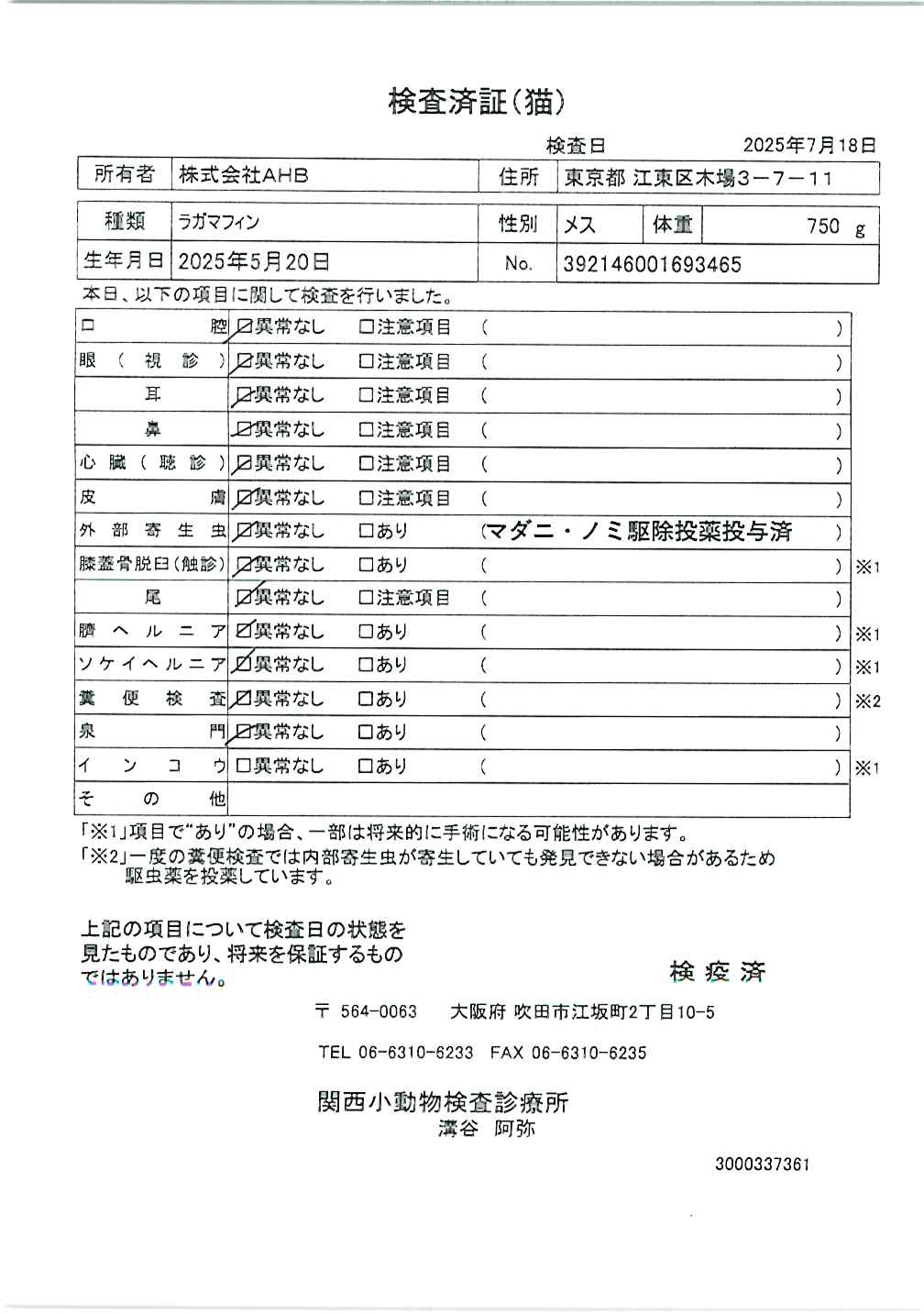 ラガマフィン
