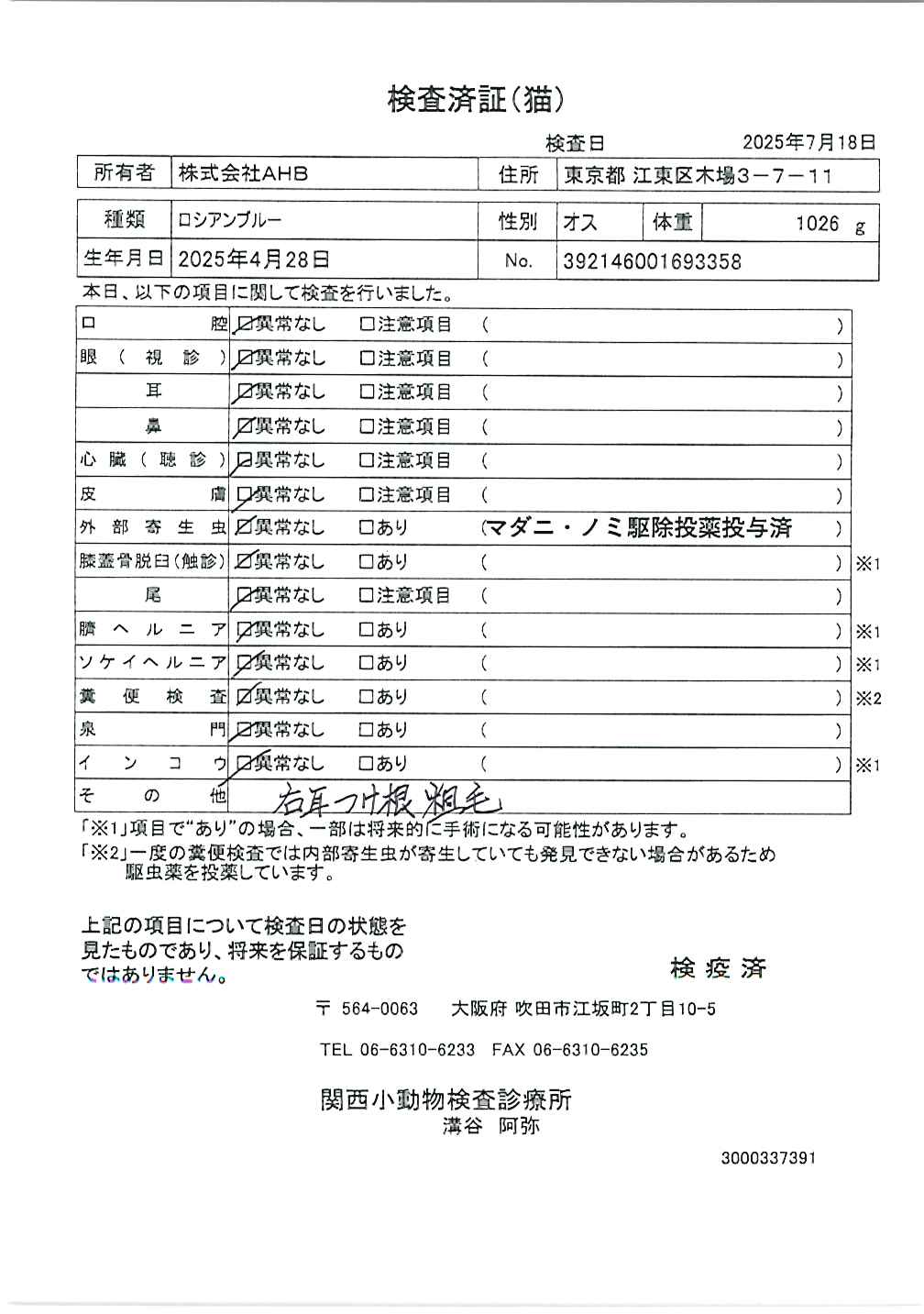 ロシアンブルー