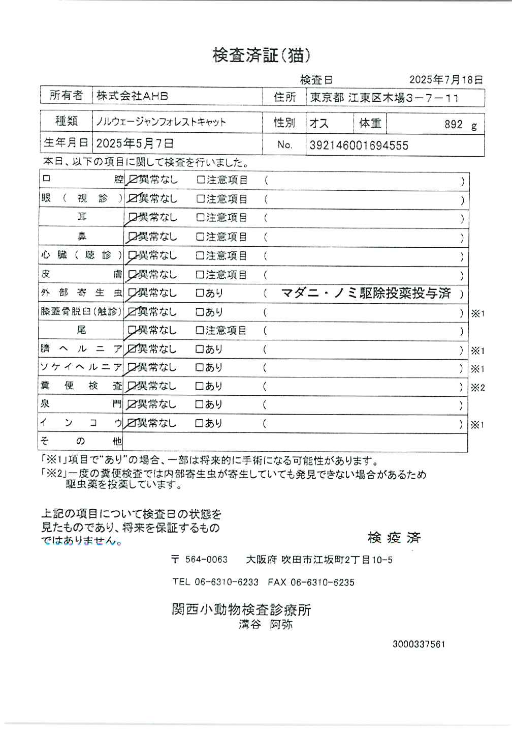 ノルウェージャンフォレストキャット