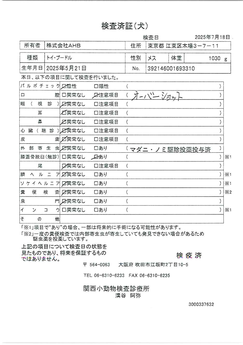 トイ・プードル