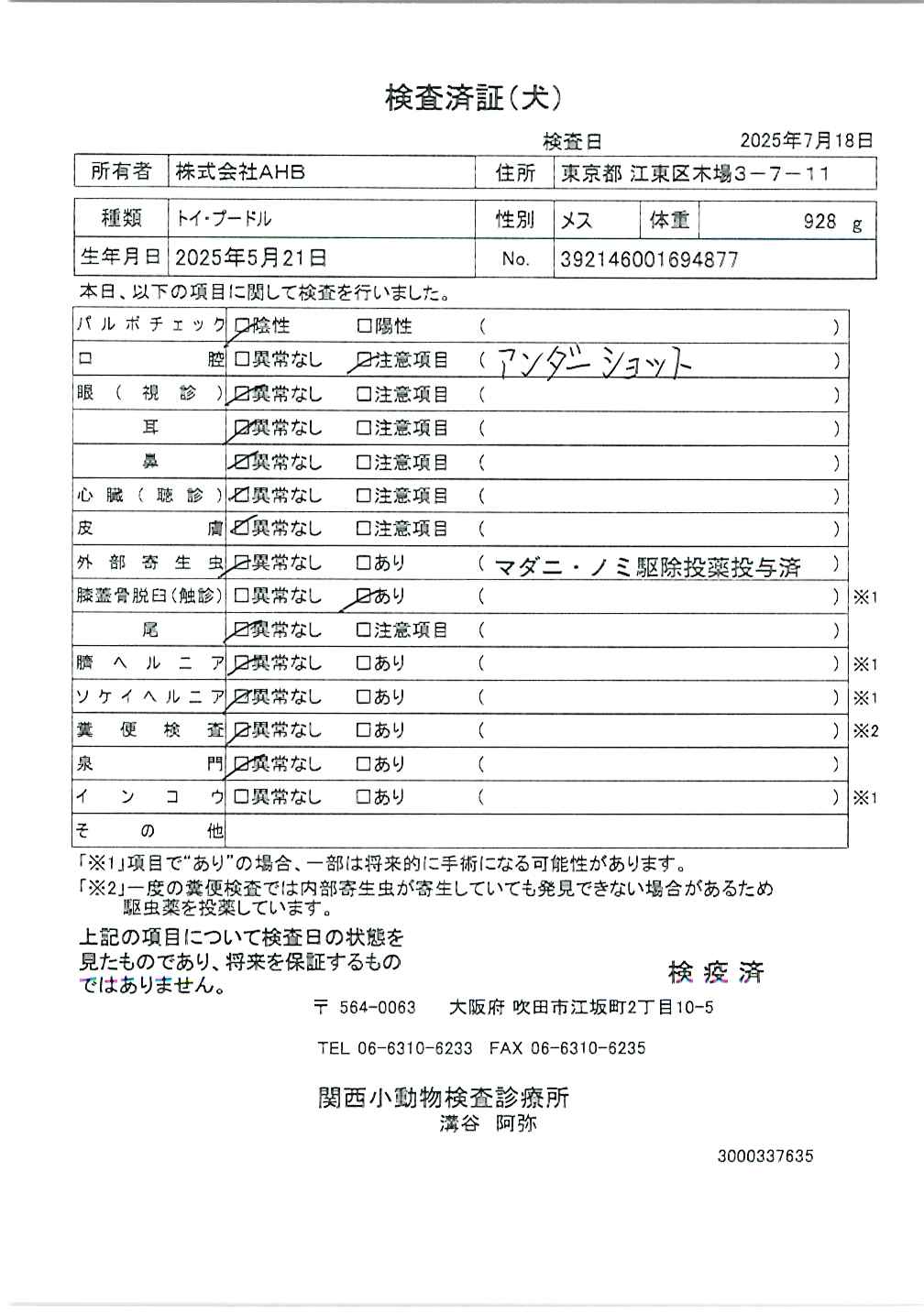 トイ・プードル
