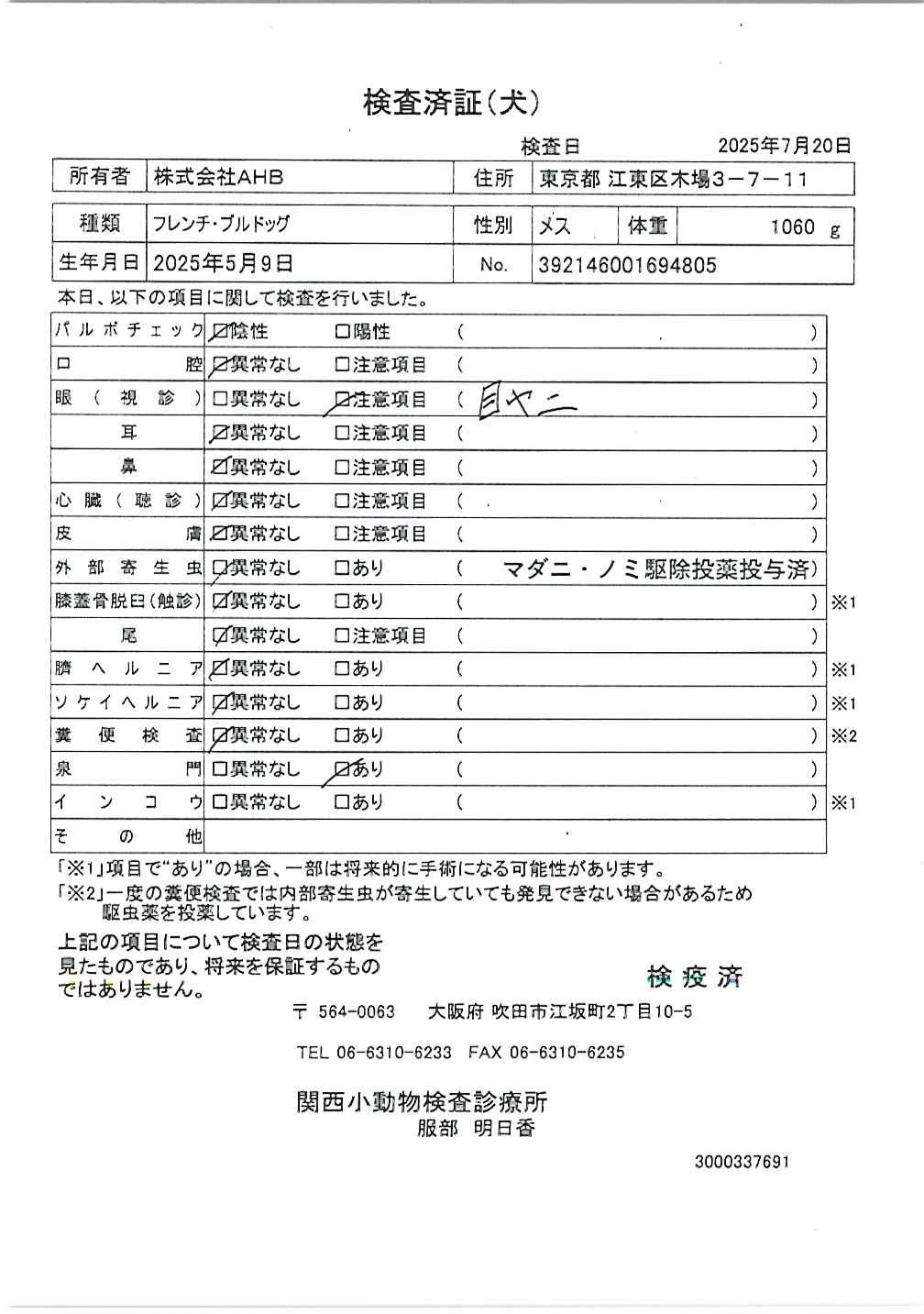 フレンチ・ブルドッグ