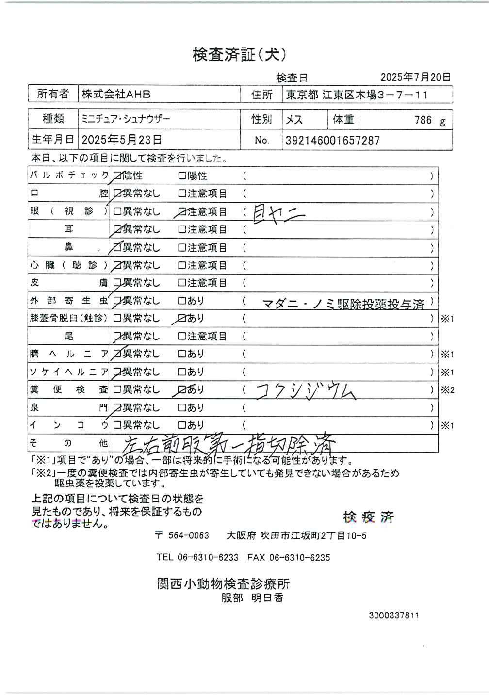 ミニチュア・シュナウザー