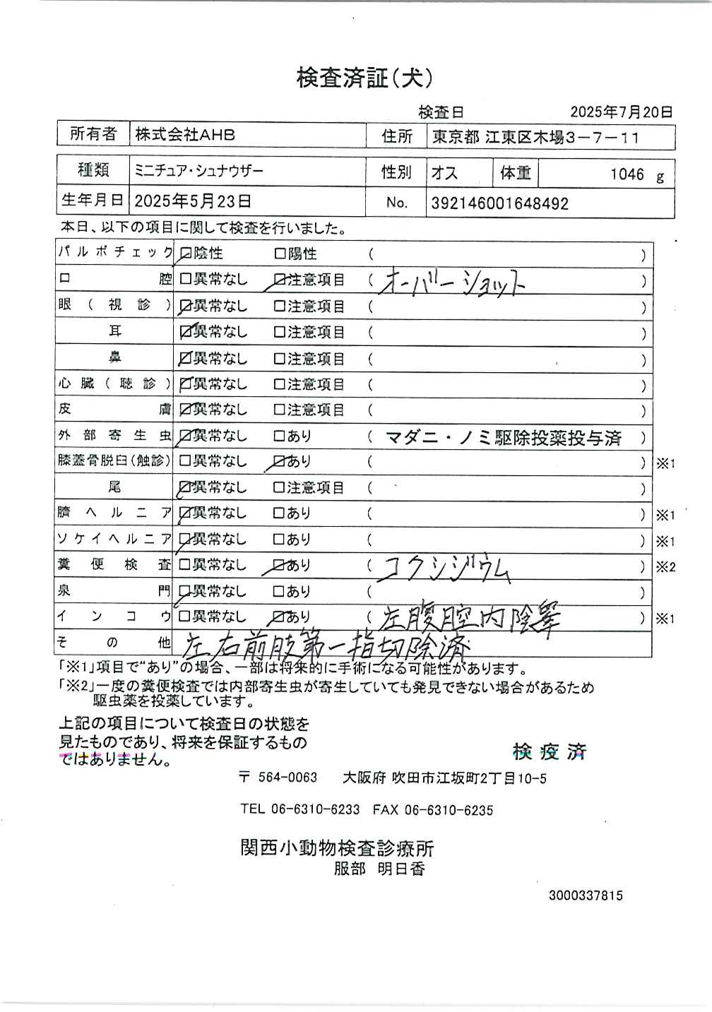 ミニチュア・シュナウザー