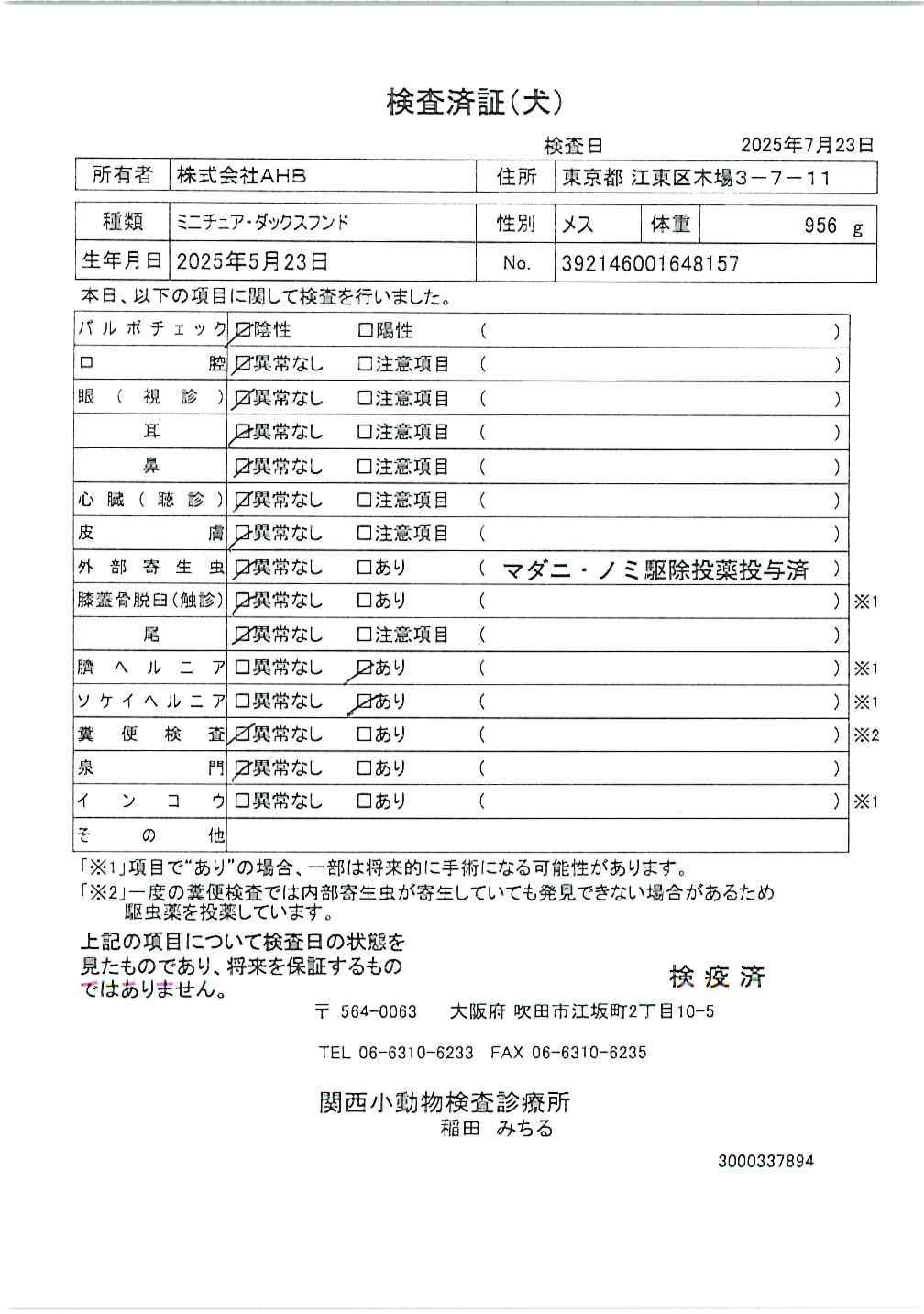 ミニチュア・ダックスフンド