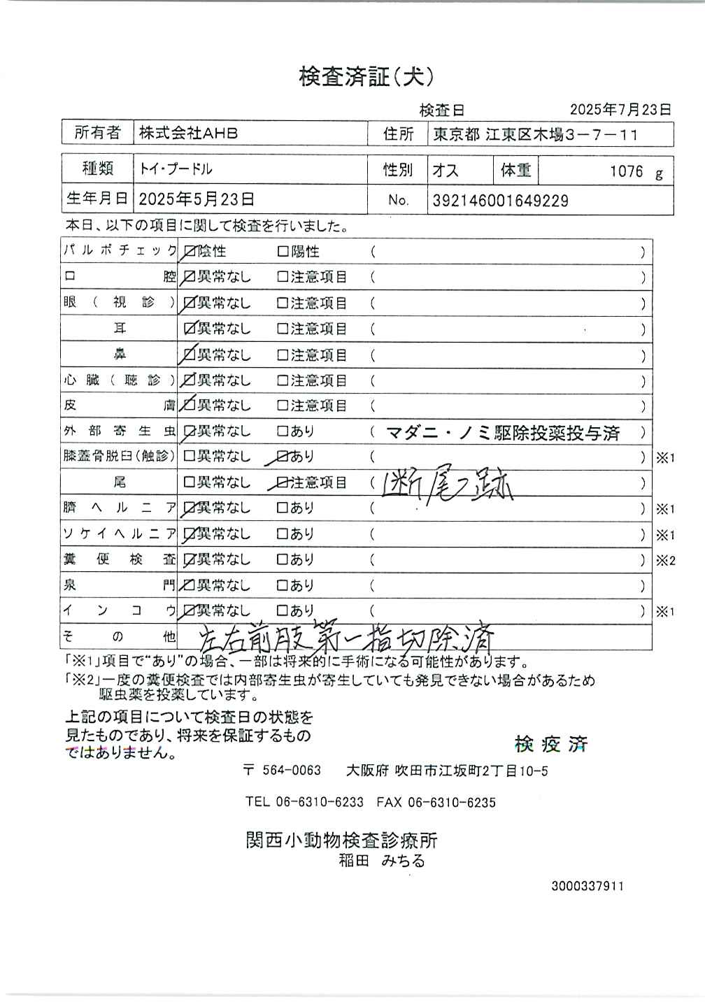 トイ・プードル