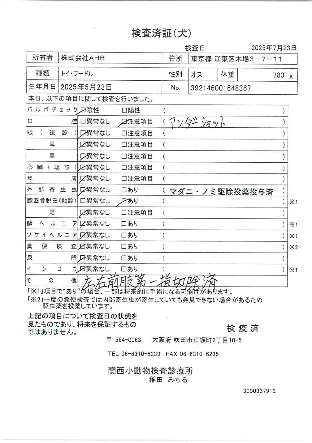 トイ・プードル