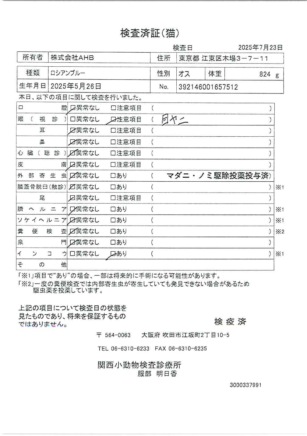 ロシアンブルー