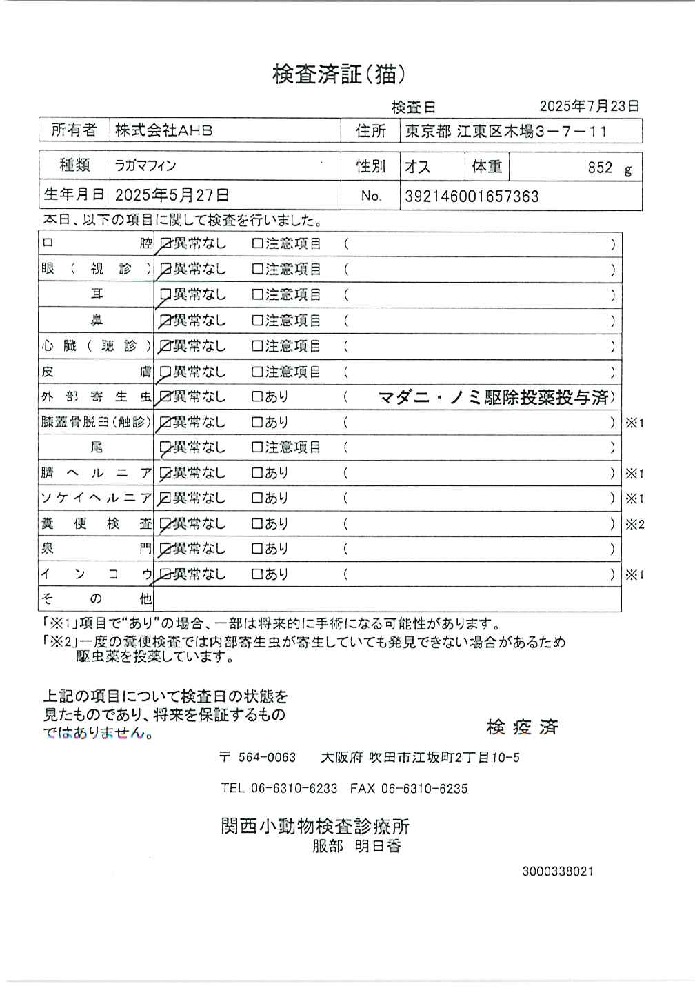 ラガマフィン