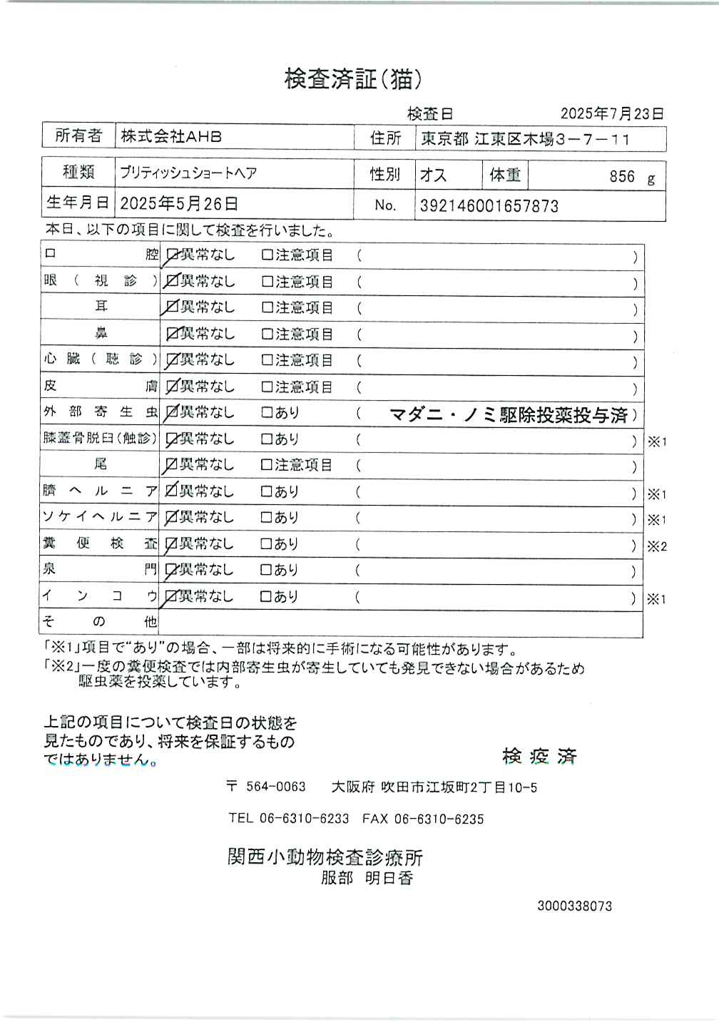 ブリティッシュショートヘア