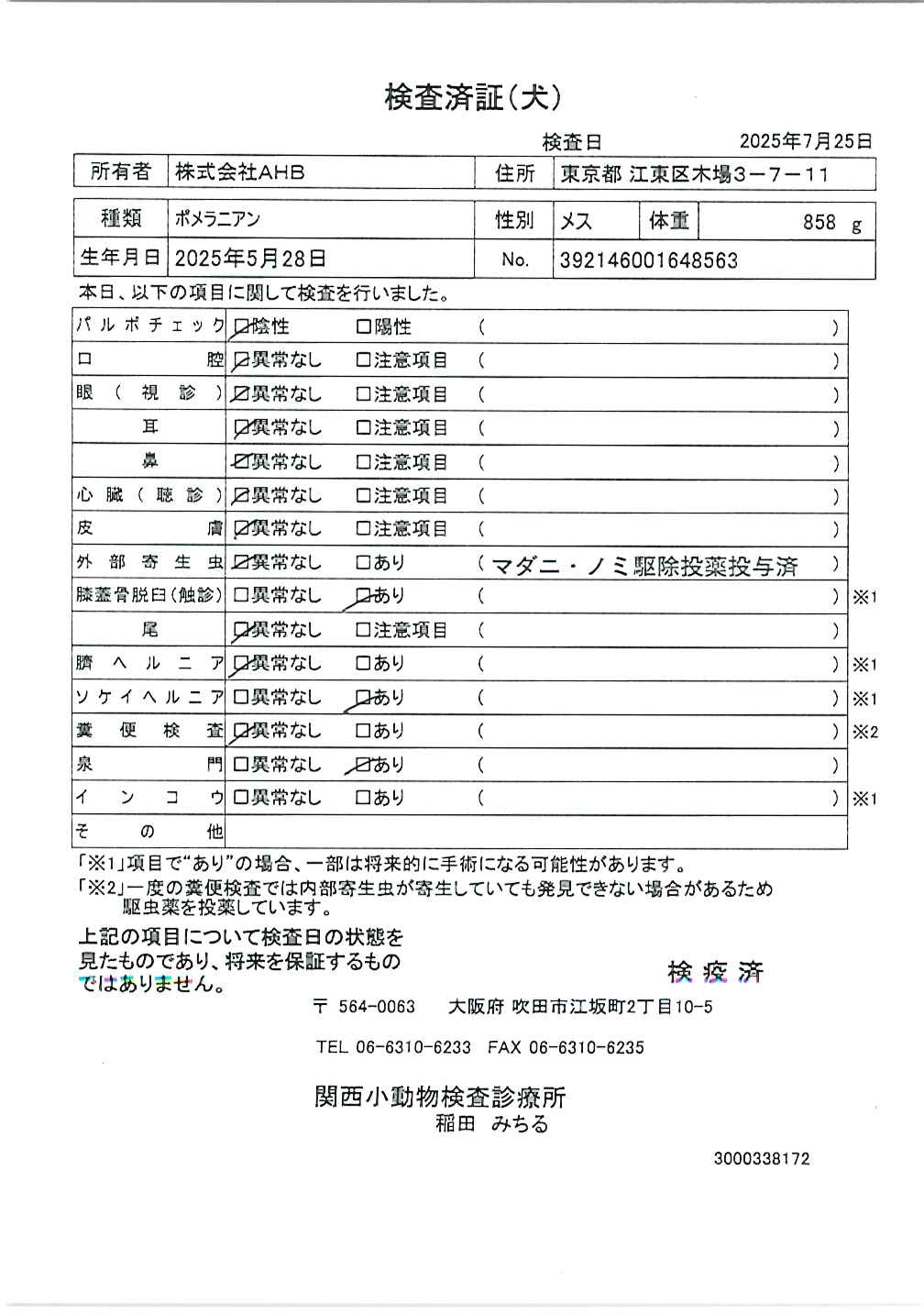 ポメラニアン