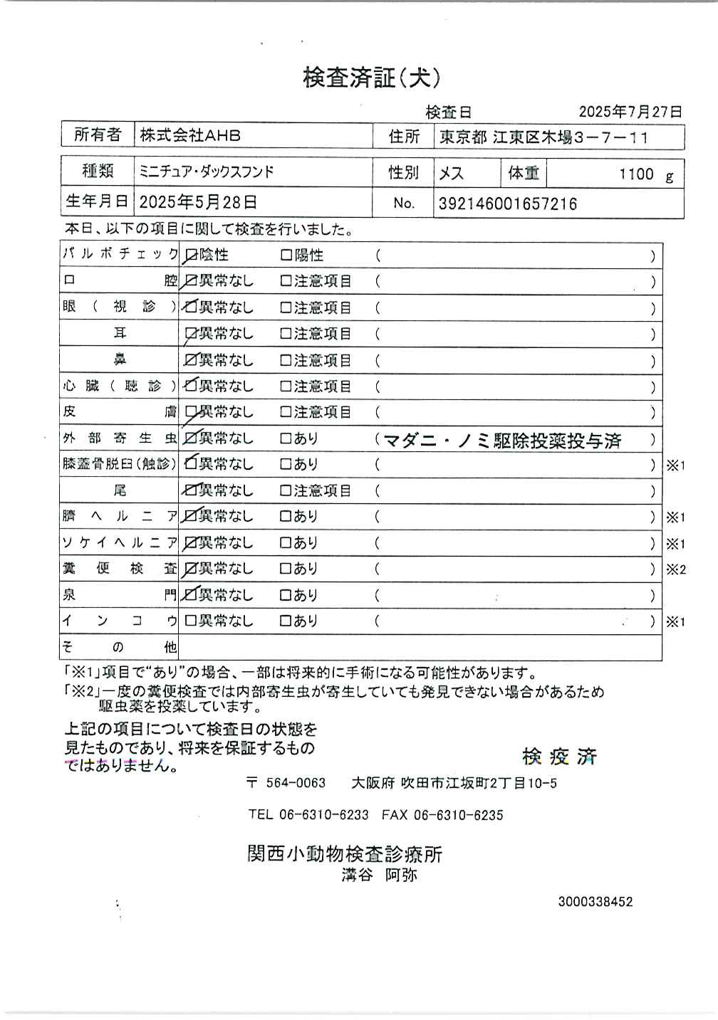 ミニチュア・ダックスフンド