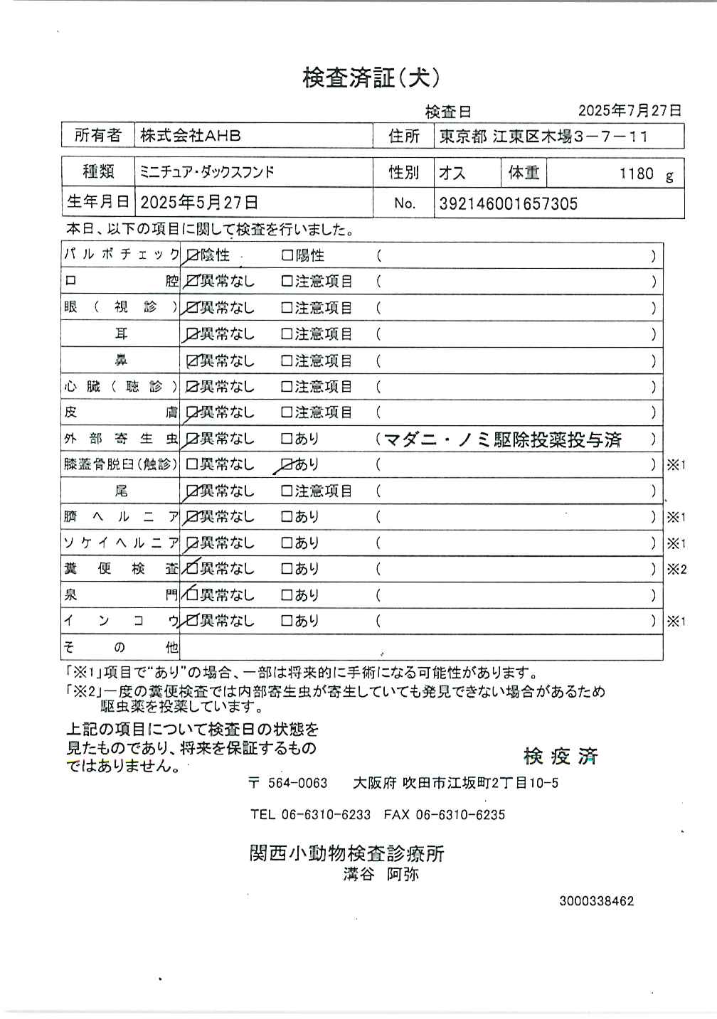 ミニチュア・ダックスフンド